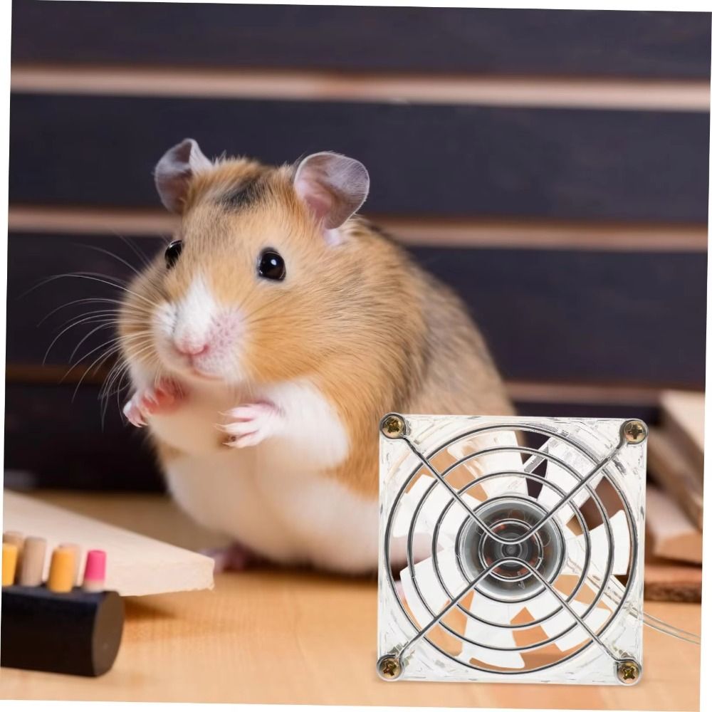 مروحة تبريد صغيرة من الأكريليك - مراجعة Usb Fan Silent وسعره